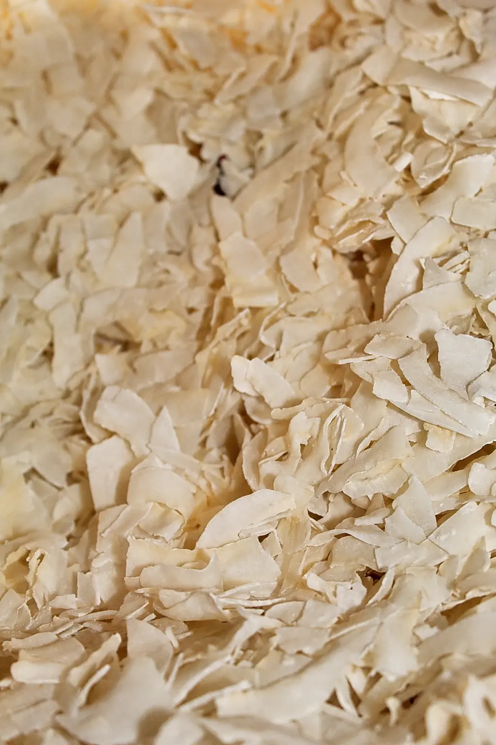 Láminas de coco